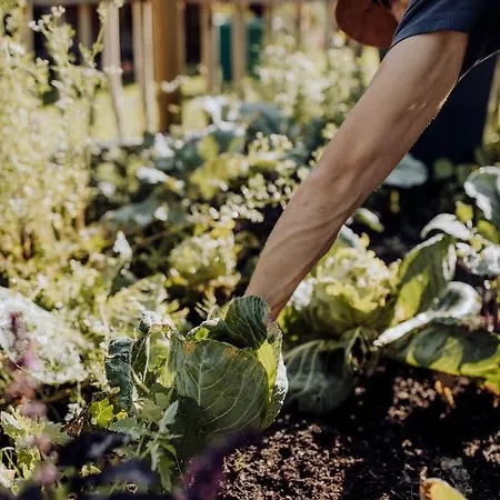 Apartman Bergzeit Flachau